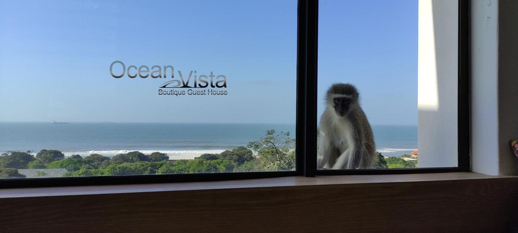 Ocean Vista Boutique Guest House เดอร์บัน ภายนอก รูปภาพ